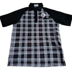 Item thumbnail for item 1c0d0e19-d643-4fd7-a396-9e8be7d2ebaa