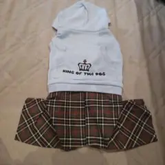 Item thumbnail for item 01ef64cb-2085-4184-837b-dcf4ecdfb763