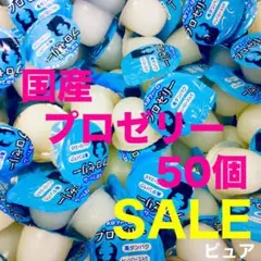 昆虫ゼリー プロゼリー50 クワガタ・カブトムシ・ハムスター・モモンガ・小動物H