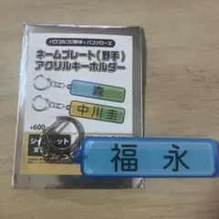 Item thumbnail for item e79a6c6f-a7a2-433e-81b0-7e0b628c391c
