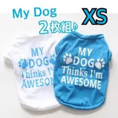 Item thumbnail for item d5b56c00-a8c2-4139-b79e-902f3344cdb3