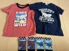 恐竜テーマ Tシャツ2枚セット 120