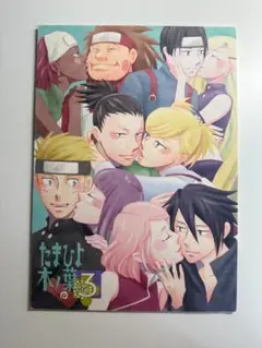【激レア】藤谷陽子　NARUTO サスサク　同人誌　フェスタ 藤谷陽子 同人作家コレクション NARUTOサスサク - メルカリ