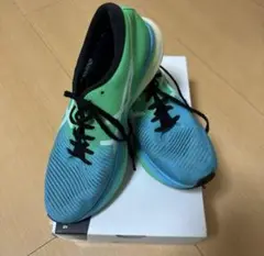 Item thumbnail for item 2b39e242-2d12-4879-9d18-9f134a3643f3