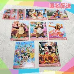 【匿名配送】東京ディズニーランド　30周年　ザハピネスイヤー　コレクションカード