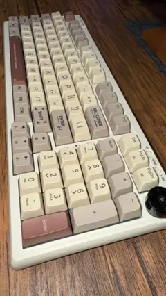 [極美品] EPOMAKER RT100 メカニカルキーボード 別軸に換装済