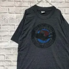 メキシコ製90sヴィンテージTシャツ！シングルステッチ　グレー半袖2XL 15