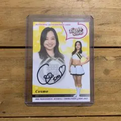 Item thumbnail for item 55e147fe-056d-43f7-af6d-70daec2e014c