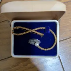 Item thumbnail for item c66b9c3b-fb30-4fbb-a28a-678bb088ffd6