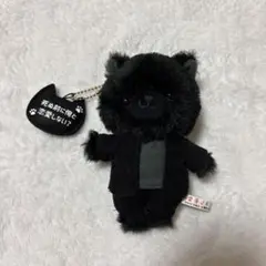 墜落JKと廃人教師 黒猫マスコット 灰仁