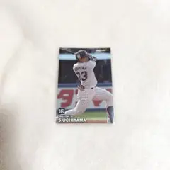ヤクルトスワローズ 内山壮真 プロ野球 チップス カード 2023