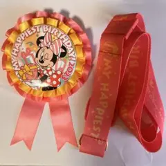 【値下げ】ミニーロゼット　バースデーロゼット　ディズニーグッズ