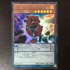 遊戯王 DDドッグ ウルトラ 1枚