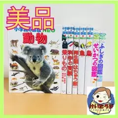 Q64小学館の図鑑NEO 8冊　動物　乗りもの　鳥　絵本 セット まとめ売り 新しい到着 Q64小学館の図鑑NEO まとめ セット 絵本 鳥 乗りもの