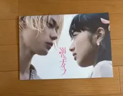 溺れるナイフ　パンフレット