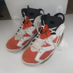 Air Jordan 6 Retro Gatorade 384664-145