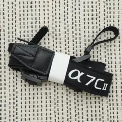 Item thumbnail for item 8347cdb5-71b2-47e6-a156-1126bc886146