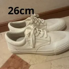 converseスニーカー 26cm
