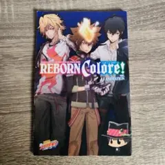 2025年最新】REBORN Colore! ver.ANIMATIONの人気アイテム