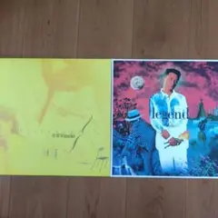 1989年パイオニアCB-V2480カラオケレーザーディスク収納ホルダー Vintage 1989 Pioneer CB-V2480 Karaoke Laser Disc Storage