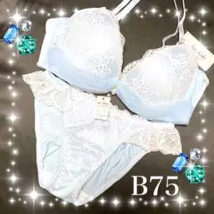 Item thumbnail for item c35bcda5-9538-440e-a41c-1ce15bbdb7f8