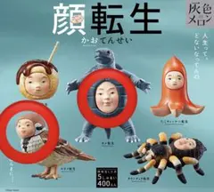 灰色メロン　顔転生 スズメ　カメ　2種