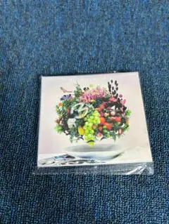 Item thumbnail for item f5781d06-d0f1-4a59-89c3-937ef451768b