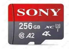 SONY 256GB SDカード A2　アダプター付き
