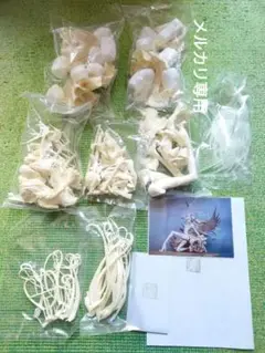 【完成品】植物少女園　ダーキニー　ハリティー　ガレージキット 石長櫻子／植物少女園 作品集発売中 on X: 