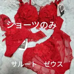 ◆新品◆Salute サルート 34G ゼウス RE ブラ ショーツ ソング
