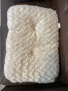 Item thumbnail for item c49219e2-c44b-44de-b824-e66ab13e5cdb