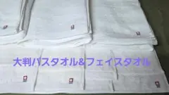 Item thumbnail for item 0192577e-c48e-4a25-8710-86b64ee6f14a