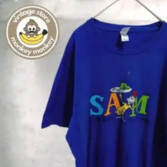 mz6625 アメリカンアパレル　プリントTシャツ　半袖カットソー　ブルー