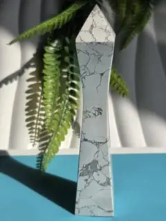 ハウライトポイントタワー
