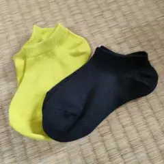 Item thumbnail for item 29177cda-fbdf-4769-b6ef-fe80c76d9faa