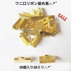 Item thumbnail for item 04b42d4a-117b-4c77-ada0-9c28b8752dc9