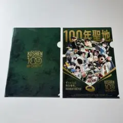 【新品未使用】甲子園球場100周年コラボ　マンガ集合コラボクリアファイル　2枚組