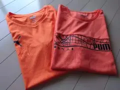 PUMA 160サイズ 半袖Tシャツ 2枚セット