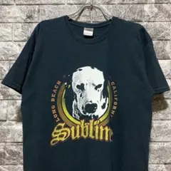 希少 SUBLIME Tシャツ サブライム BLACK Mサイズ 00s