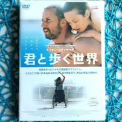 君と歩く世界('12仏/ベルギー) マリオン・コティヤール DVD