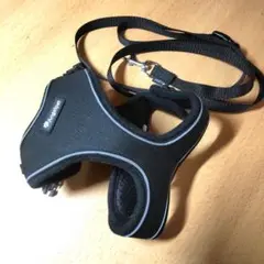 Item thumbnail for item f7905734-cfc0-48d8-9bb8-e6d78bc1526f