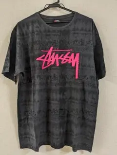 レア商品 STUSSY RESONATE コラボ Tシャツ USED品