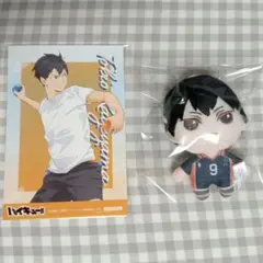 影山飛雄 セガラッキーくじ マスコット 特典カード