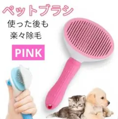 Item thumbnail for item 11c8daf6-c6cd-4e97-b544-6612a21d2e53