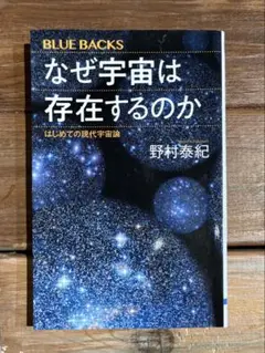 なぜ宇宙は存在するのか 野村泰紀