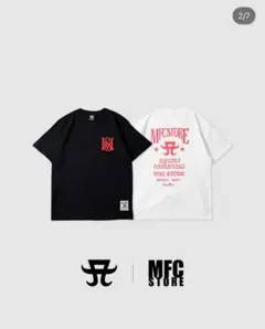 Item thumbnail for item e9cf2dff-104c-4485-8475-7dbd683c2b2c