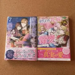 家政魔導士の異世界生活 : 冒険中の家政婦業承ります! 7