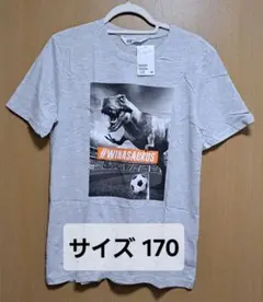 新品 H&M 半袖Tシャツ グレー 170㎝