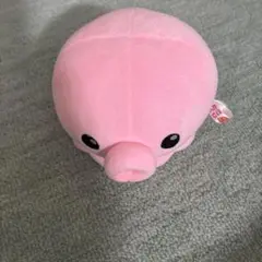CUTE たこくじ　タコ　ぬいぐるみ