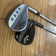 Item thumbnail for item da476c1f-0680-414a-98ef-88486724af11